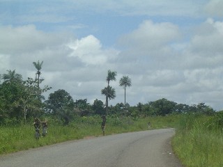 Road to Kenema